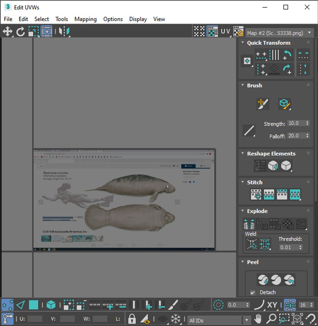 3D Sea Creatures Collection https://p.turbosquid.com/ts-thumb/Ay/DhXSB9/vx/screenshot20230704234016/png/1718303357/1920x1080/fit_q87/74858bf78322109cbc4a5d002cc3dfe9d71c4ad9/screenshot20230704234016.jpg