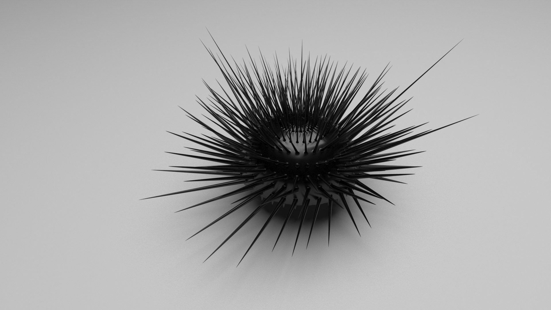 3D Sea Creatures Collection https://p.turbosquid.com/ts-thumb/Ay/DhXSB9/ws/seauchin/jpg/1718302843/1920x1080/fit_q87/d38402c25188242264cf906c1cfec986b2f69562/seauchin.jpg