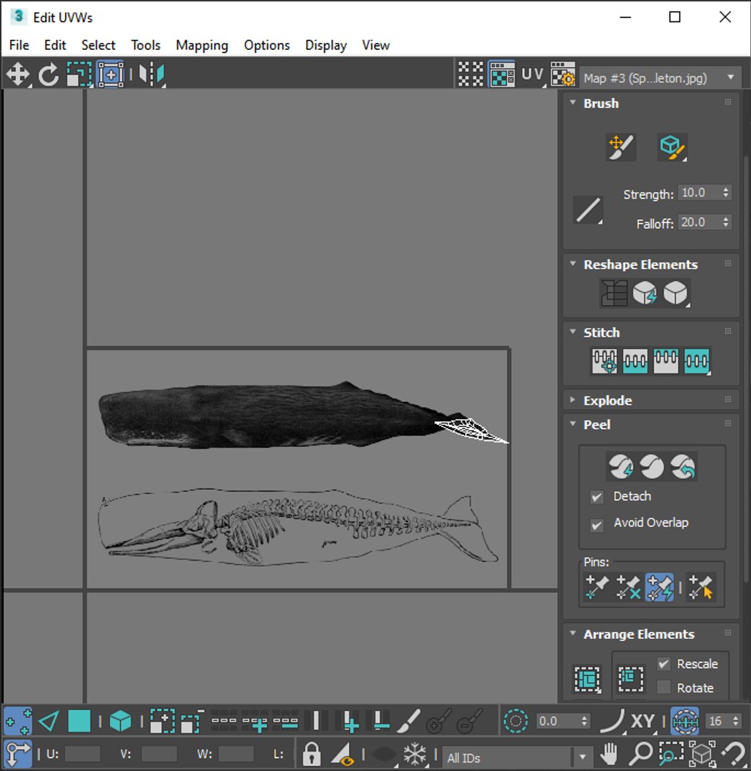 3D Sea Creatures Collection https://p.turbosquid.com/ts-thumb/Ay/DhXSB9/xJ/screenshot20230701001311/png/1718303341/1920x1080/fit_q87/bcce66ba06daf3e60eafe54997058d72eccd9818/screenshot20230701001311.jpg