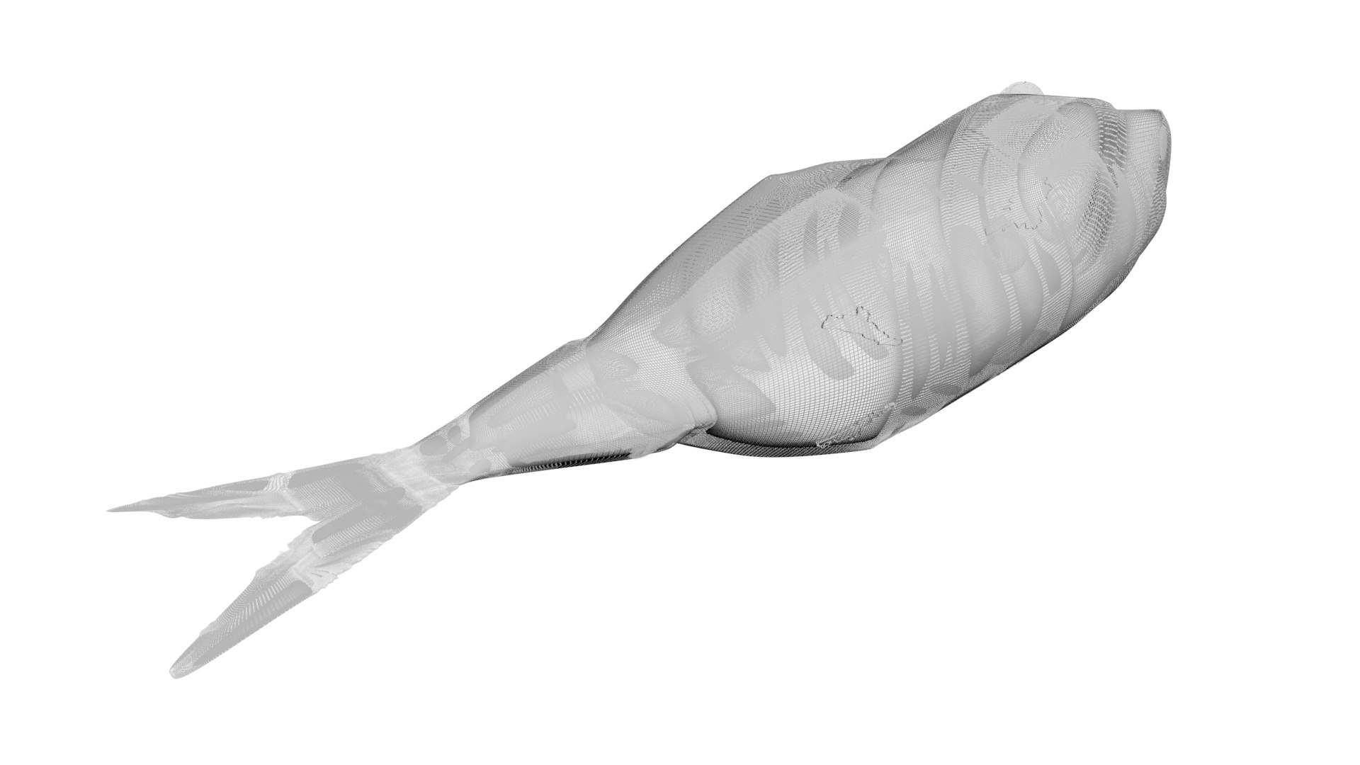 3D Sea Creatures Collection https://p.turbosquid.com/ts-thumb/Ay/DhXSB9/y9/deadfish16/jpg/1718302801/1920x1080/fit_q87/94bca670349cc271615a4f635af69f55af7e8efd/deadfish16.jpg
