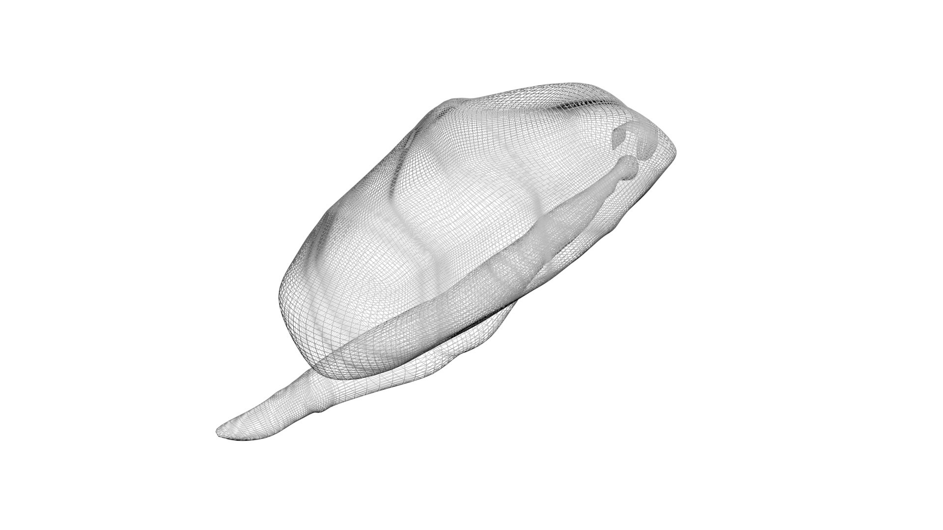 3D Sea Creatures Collection https://p.turbosquid.com/ts-thumb/Ay/DhXSB9/yg/flamingotonguesnail20/jpg/1718303115/1920x1080/fit_q87/090e7f51e8c888cb81ac9ea1fb137cb5935ed8ad/flamingotonguesnail20.jpg