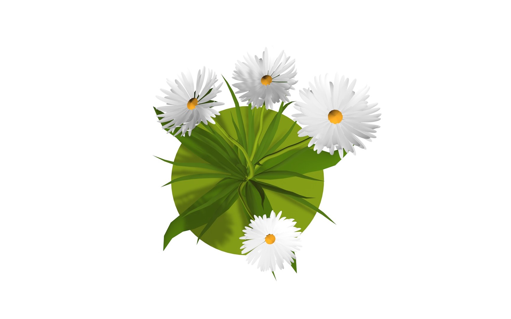 3D model flora nature chamomile https://p.turbosquid.com/ts-thumb/Ay/J5enjJ/9xaB1d5C/whiteflower5/jpg/1573154201/1920x1080/fit_q87/954a2a25b9a8528b29a72d07d99df593f5cd00c0/whiteflower5.jpg