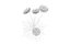 fiore bianco