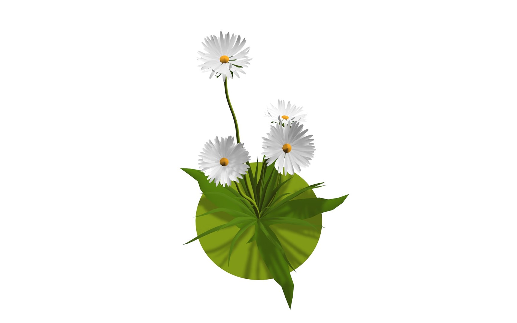 3D model flora nature chamomile https://p.turbosquid.com/ts-thumb/Ay/J5enjJ/FlpG6A5K/whiteflower6/jpg/1573154201/1920x1080/fit_q87/d81d4a471e37b8d6496fcb91af31f35462ca7cc1/whiteflower6.jpg