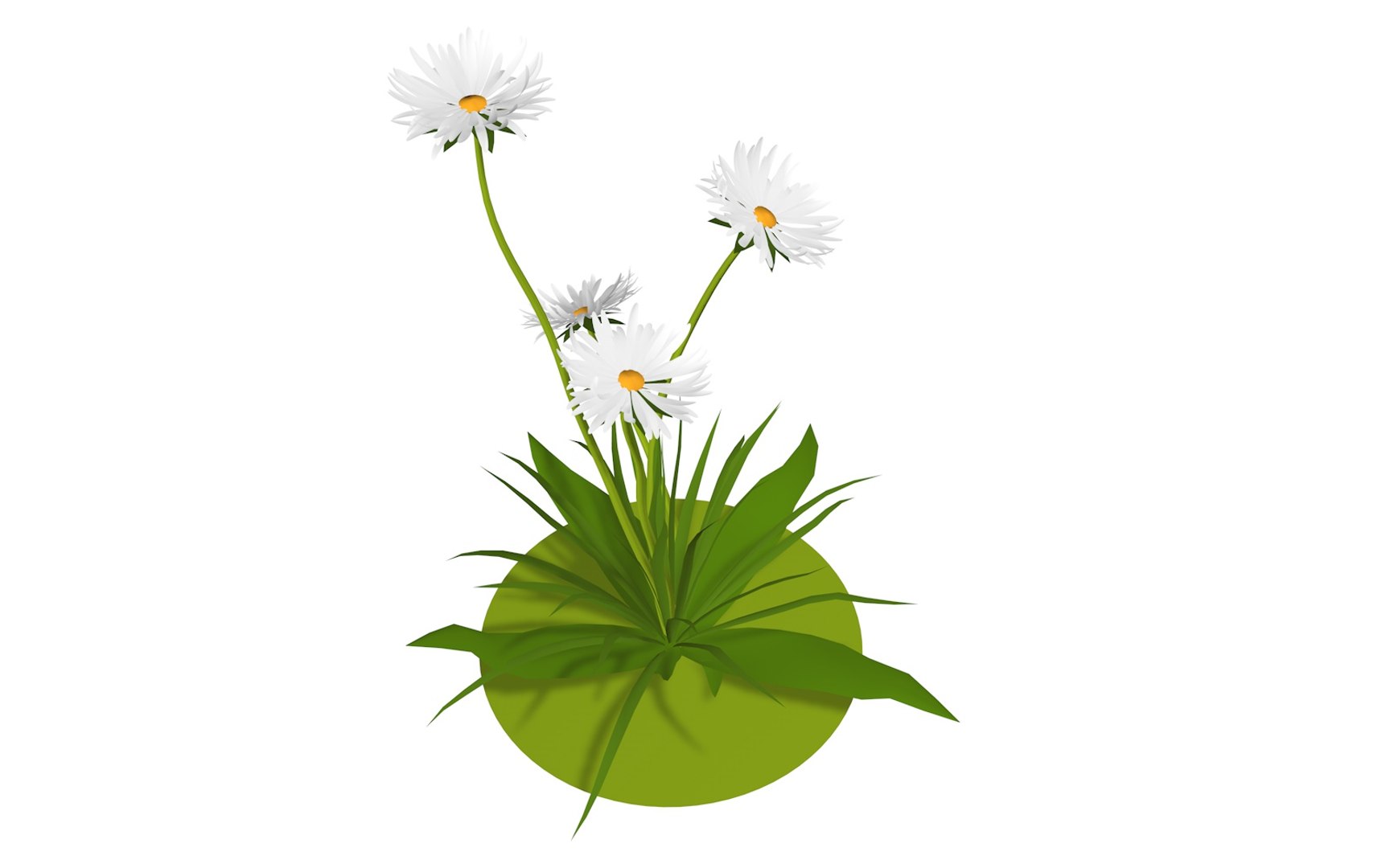 3D model flora nature chamomile https://p.turbosquid.com/ts-thumb/Ay/J5enjJ/VkocY81K/whiteflower2/jpg/1573154201/1920x1080/fit_q87/24de2f0cc09e0b1c9fbe8f033e40ee193495fd97/whiteflower2.jpg