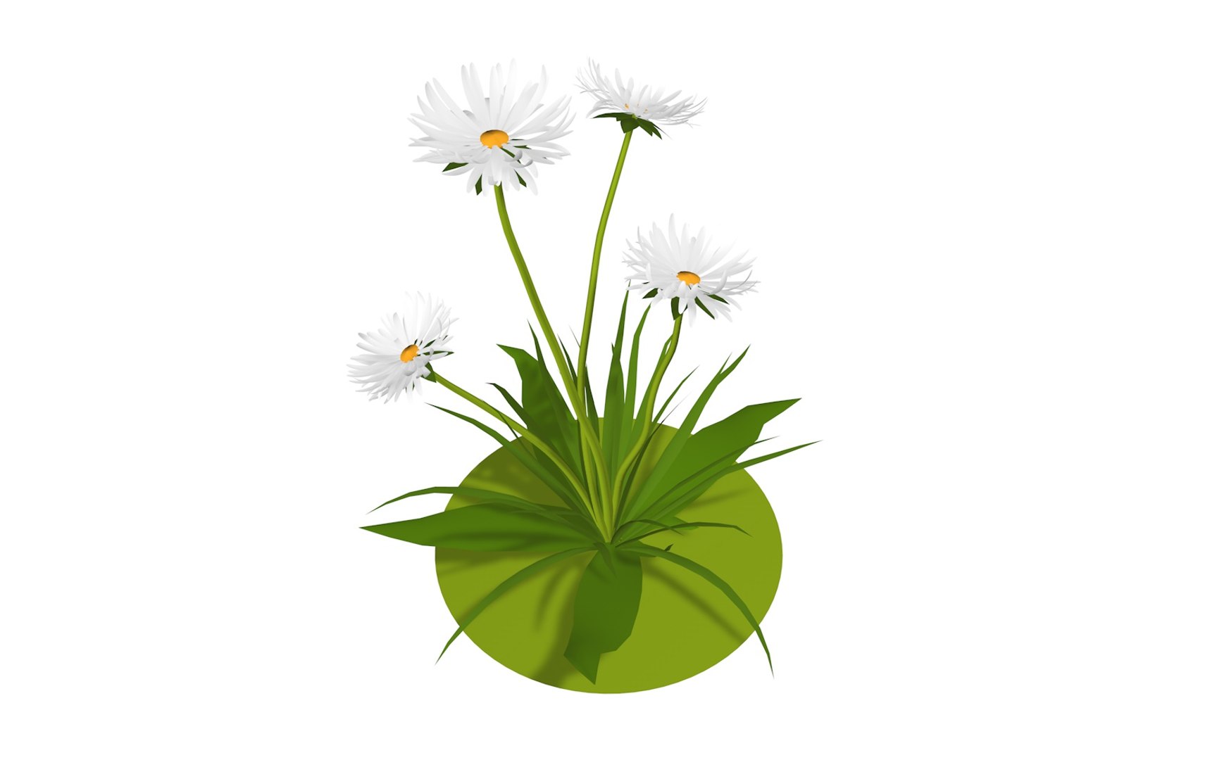 3D model flora nature chamomile https://p.turbosquid.com/ts-thumb/Ay/J5enjJ/ZUnZtvWY/whiteflower3/jpg/1573154201/1920x1080/fit_q87/ac0e6e082cd7b4c2e4c29696a5b67c84cb63fcdb/whiteflower3.jpg
