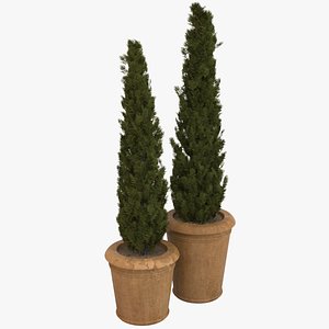 Deco Pot 301