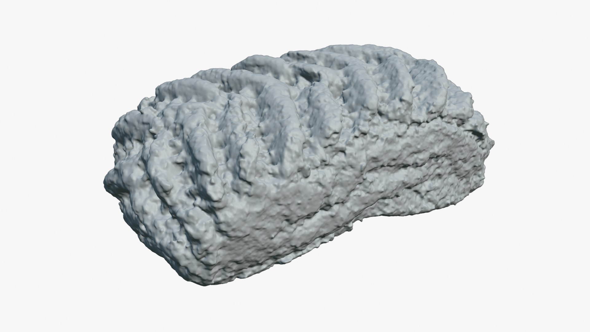 3D Lattice Filled Maamoul Cookie - For 3D Print https://p.turbosquid.com/ts-thumb/Ay/Zo4LrM/qm/cookiemaamoul02_0006/png/1781936932/1920x1080/fit_q87/0692fb4200c2cff1d8da4c9d489e90541d277f89/cookiemaamoul02_0006.jpg