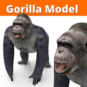 gorilla 3D