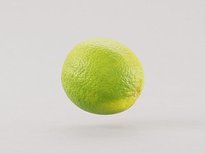 3D Lime fruit 3d model model