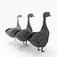 Cartoon Goose (Rigged)