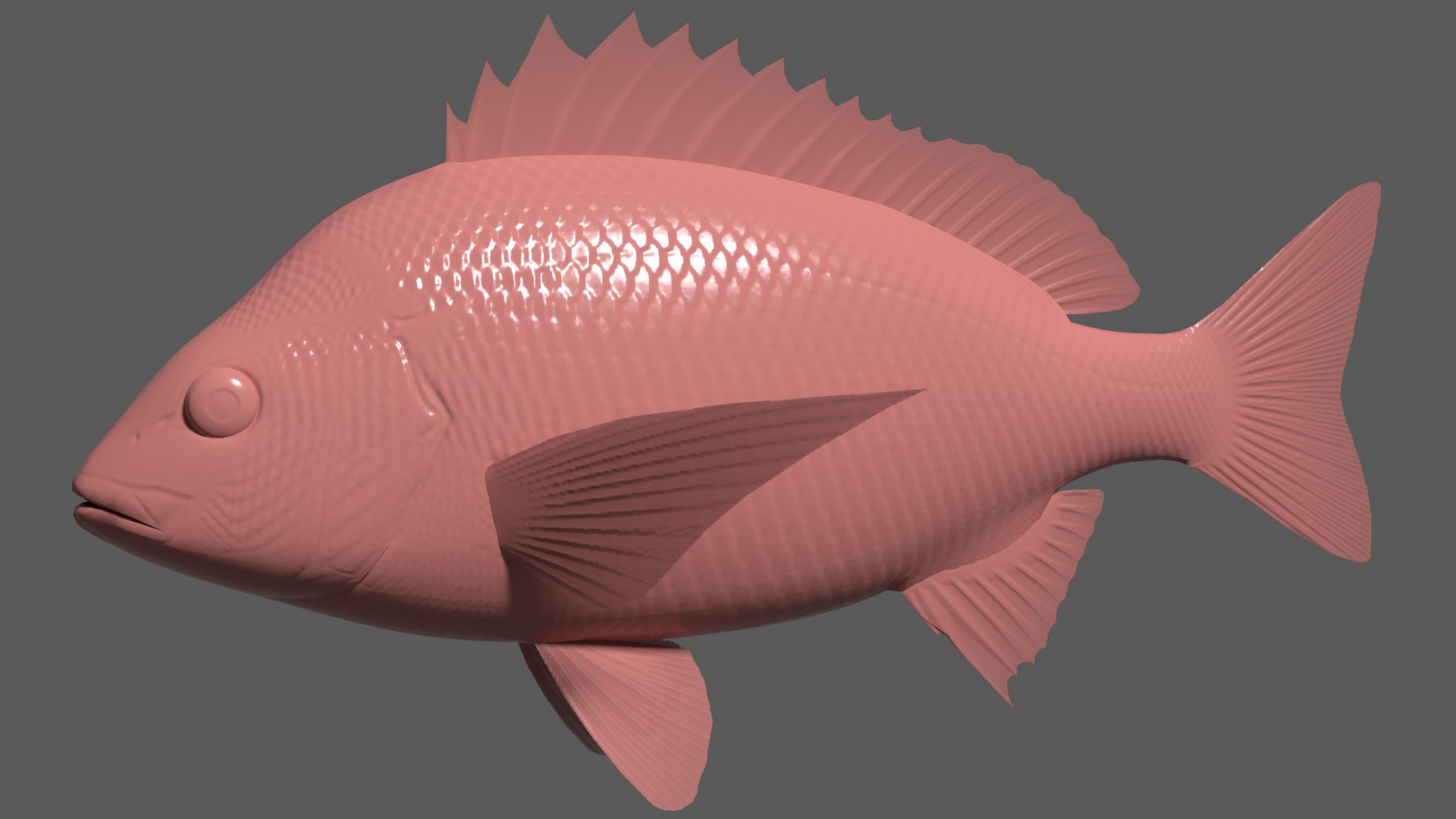 3d 3ds black porgy https://p.turbosquid.com/ts-thumb/Az/DXv1ts/6u/kurodaibump/png/1622461134/1920x1080/fit_q87/76067ddd9cd45130377027395d6c7bb287249104/kurodaibump.jpg