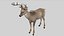 Deer Rigged No fur 3D 3D model
