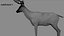 Deer Rigged No fur 3D 3D model