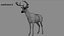 Deer Rigged No fur 3D 3D model
