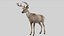 Deer Rigged No fur 3D 3D model