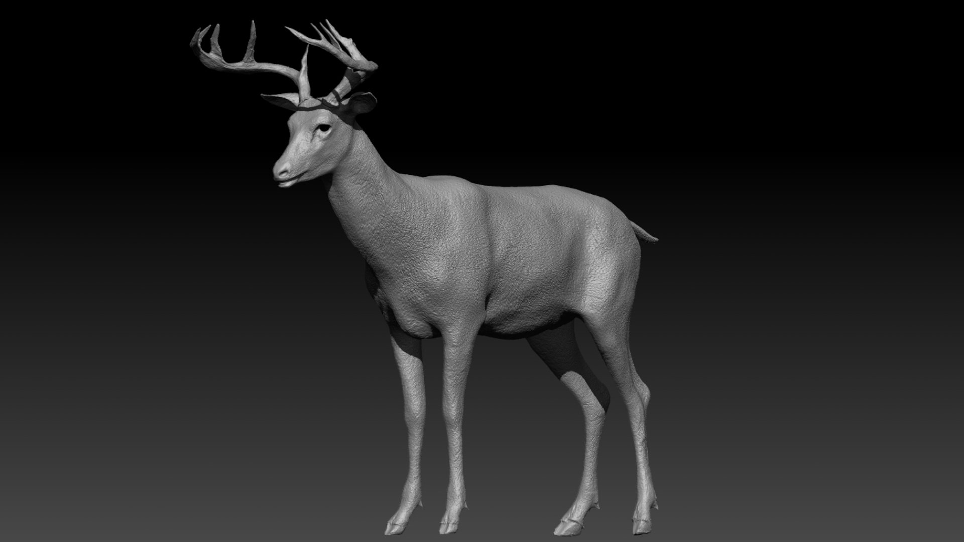 Deer Rigged No fur 3D 3D model https://p.turbosquid.com/ts-thumb/Az/HOEBP0/ZO/30/jpg/1755504775/1920x1080/fit_q87/fa341b12af04b35ceb2cb986ea4eba117b9c5f25/30.jpg