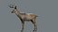 Deer Rigged No fur 3D 3D model