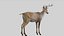 Deer Rigged No fur 3D 3D model