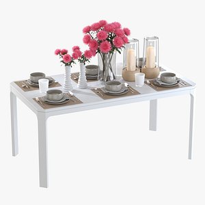 Dinner Table with Asters