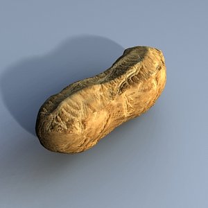 peanut nut 3d model