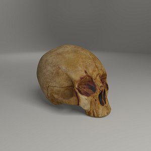 3D ancient model