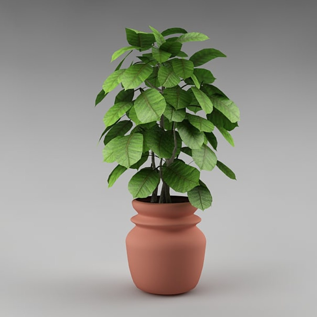 3d Plant Flowerpot Realistic Model