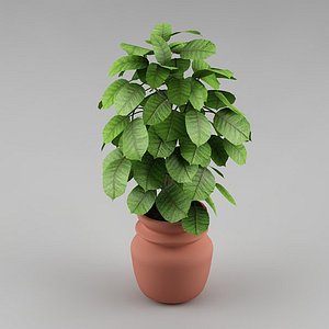 3d plant flowerpot realistic model