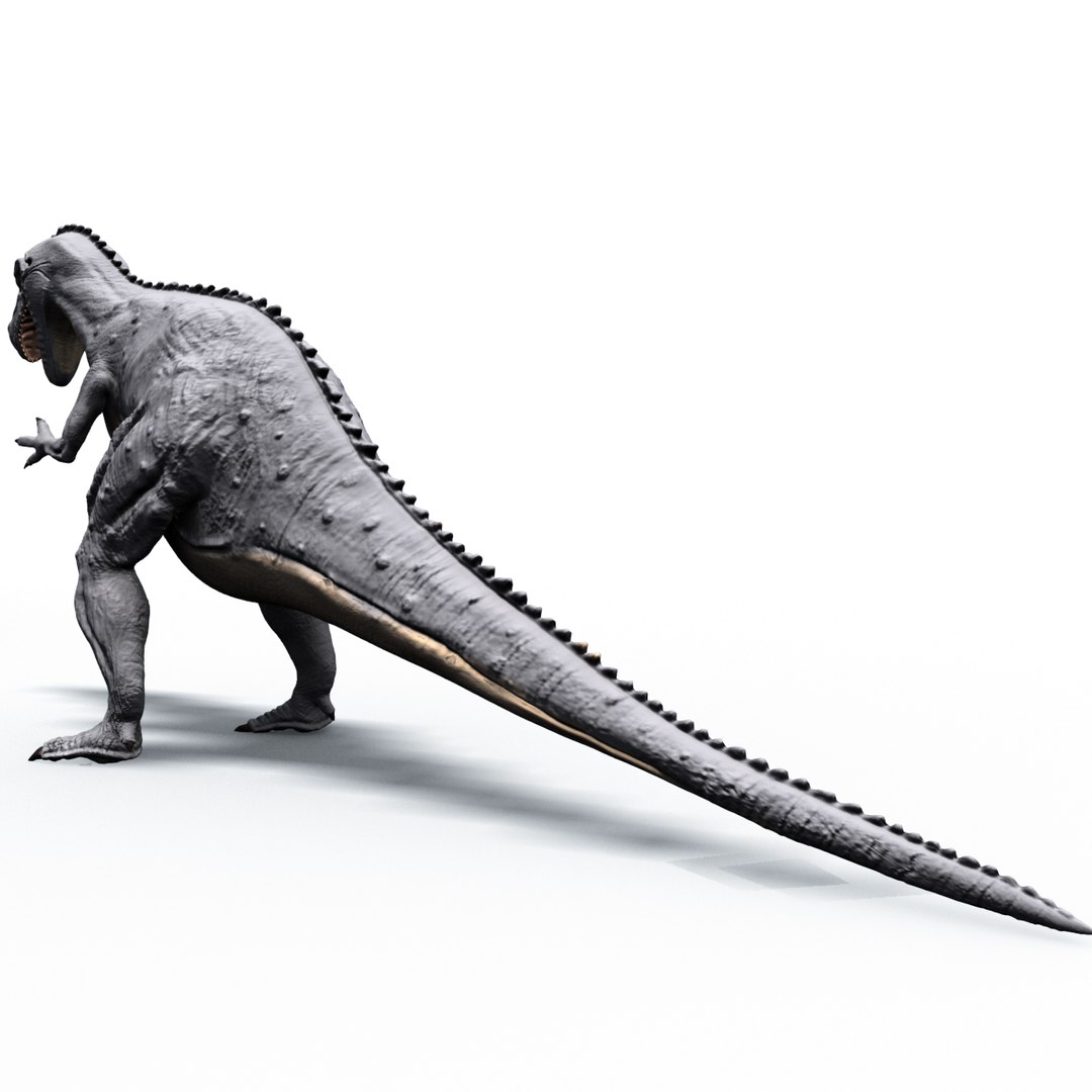 3D Model Ceratosaurus Dinosaur - TurboSquid 1221115
