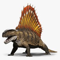 Dimetrodon Rig