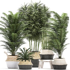 3D decorative basket interior