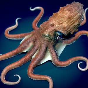 3D Giant Pacific Octopus