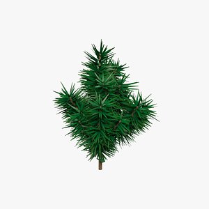small fir tree max