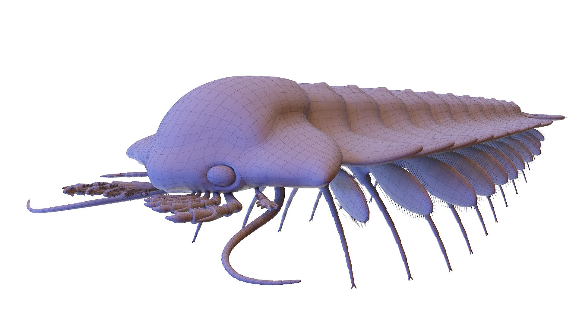 3D Model Sanctocaris Static - TurboSquid 1768786