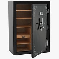 Gun Safe