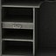 Gun Safe