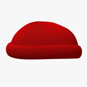 Rolled Up Beanie 3D model
