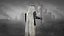 Teutonic Knight