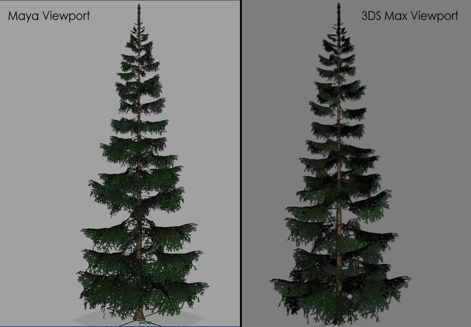 Free Fir Branches Trunk 3d Model