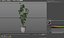 Plant 1322