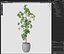 Plant 1322