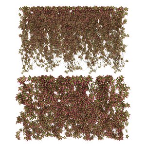Wall of wild grapes leaves