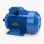 Stationary Electric Motor