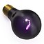 Blacklight Bulb