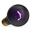 Blacklight Bulb