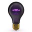 Blacklight Bulb