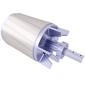 Induction Electric Motor Rotor 56 3D model