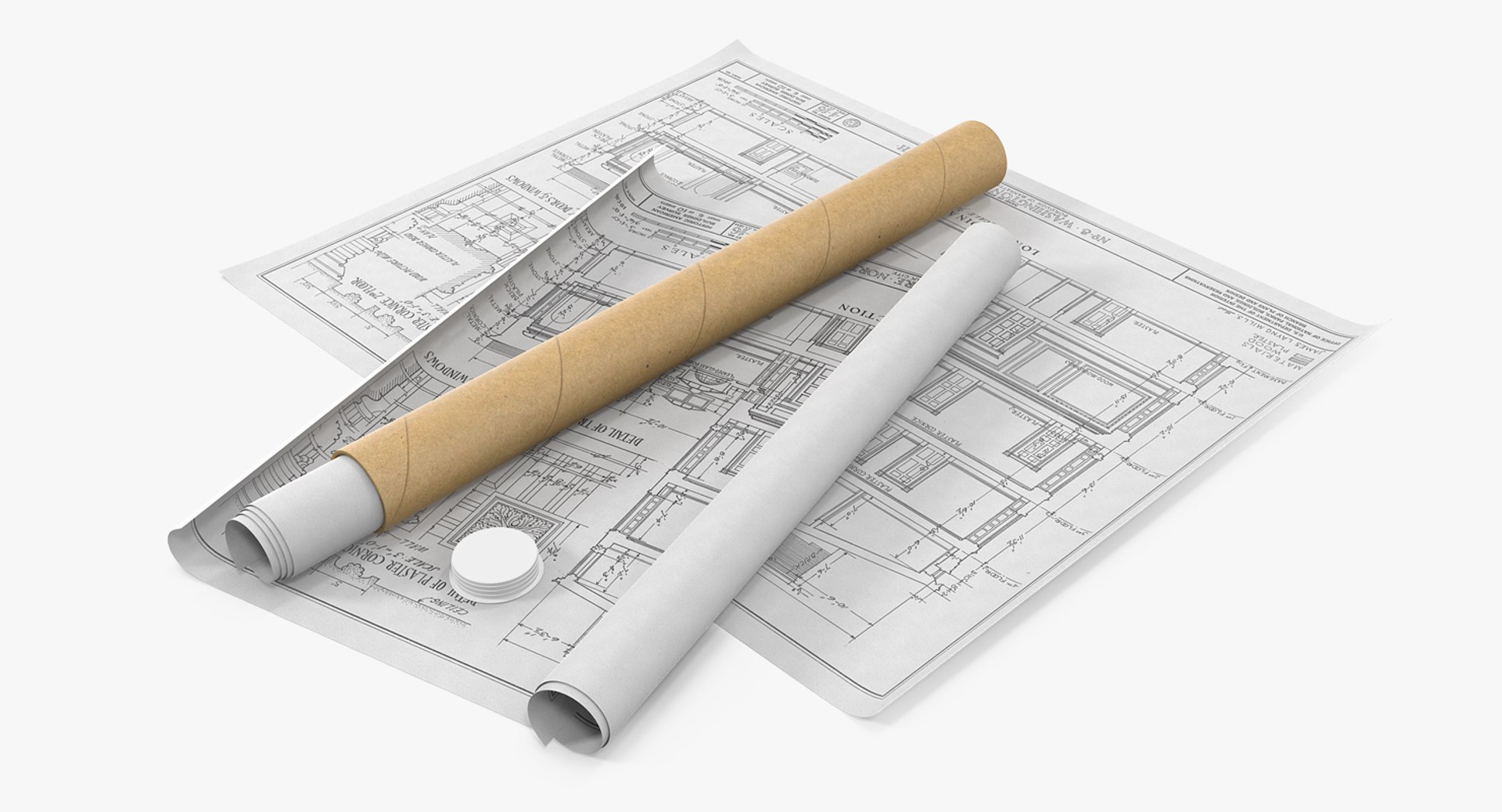 House Blueprints with Cardboard Tube 3D model preview