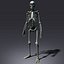 Skeleton Lowpoly