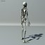 Skeleton Lowpoly